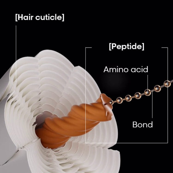 Absolute Repair In Salon Treatment- L’Oréal